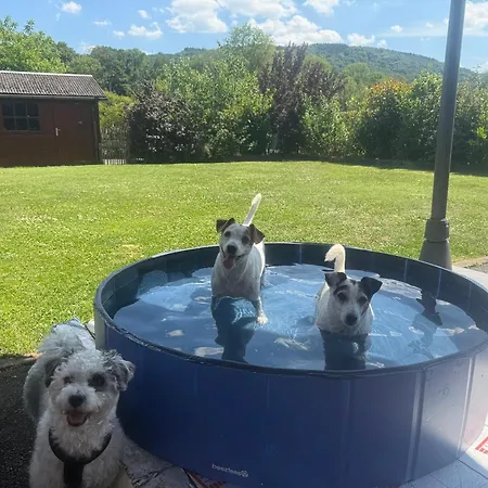 Le Mont Celeste Dogs Friendly *