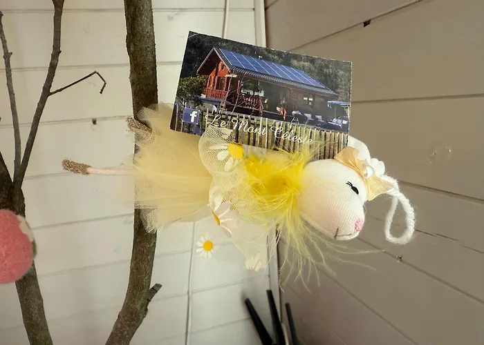 Chalet Le Mont Celeste Dogs Friendly